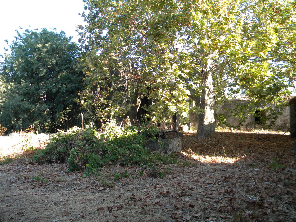 DSCN8029 .JPG